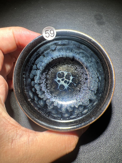 Robertxxx (New - May)