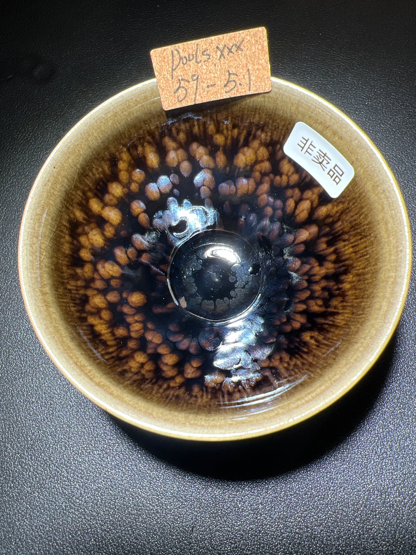 Poolsxxfools (April)