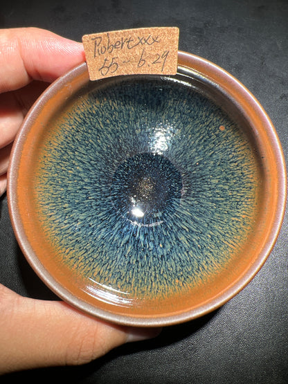 Robertxxx (New - May)