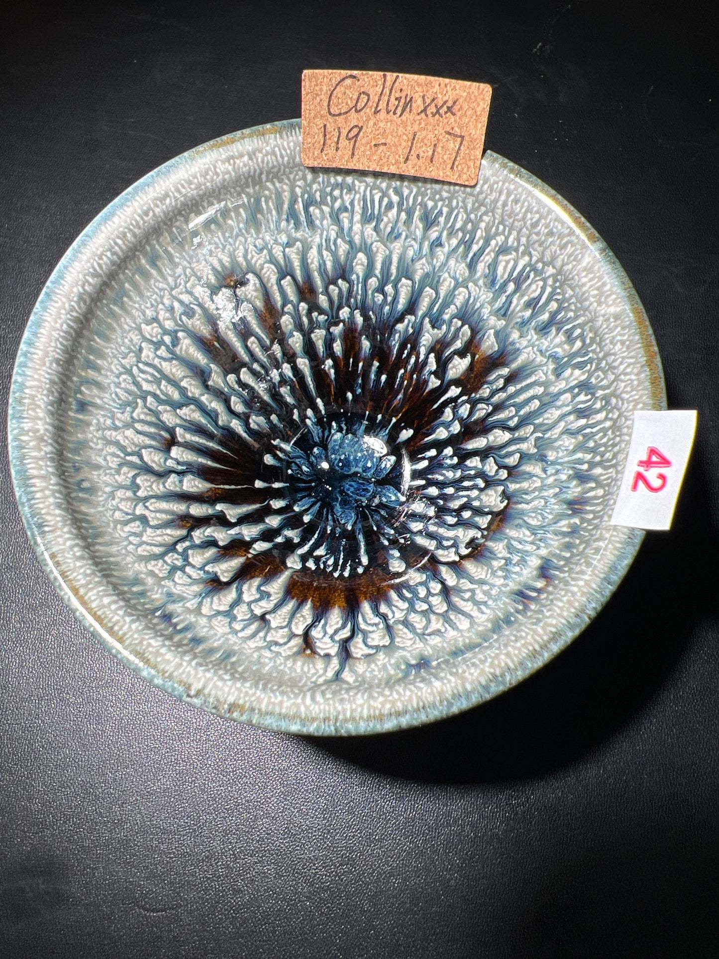 Collinxxx (February)