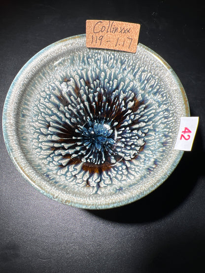 Collinxxx (February)