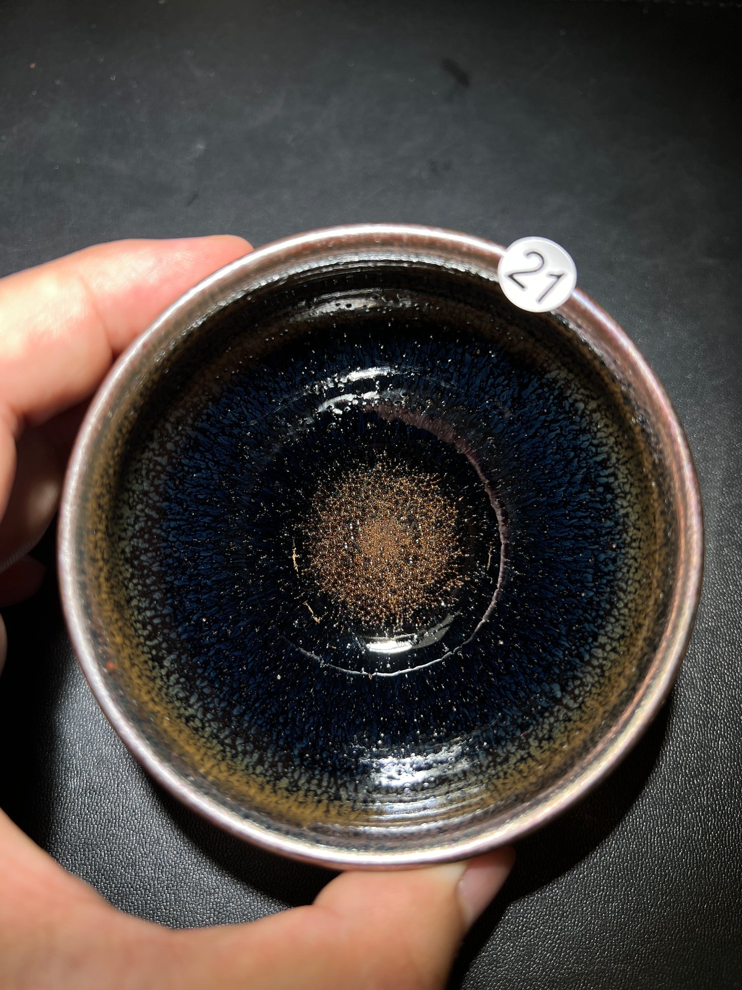 Robertxxx (New - May)