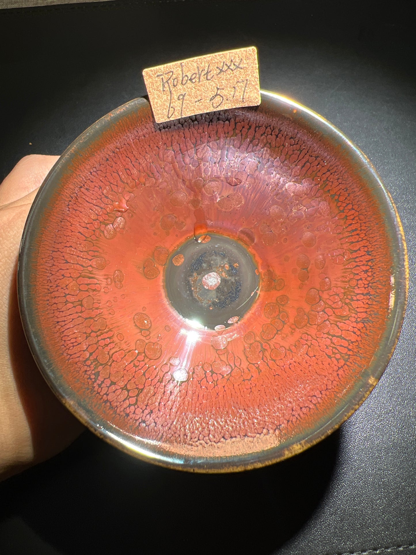 Robertxxx (New - May)