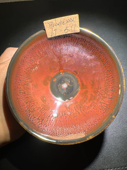 Robertxxx (New - May)