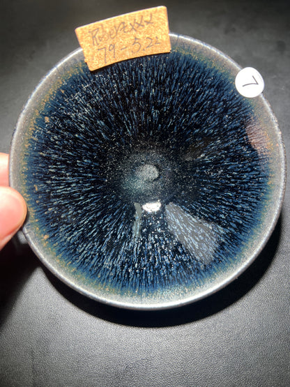 Robertxxx (New - May)