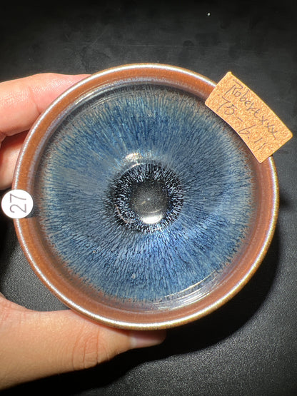 Robertxxx (New - May)