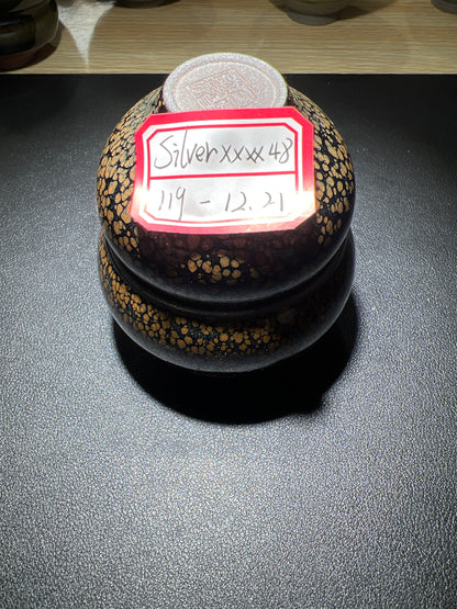 SilvxxSixx (January)