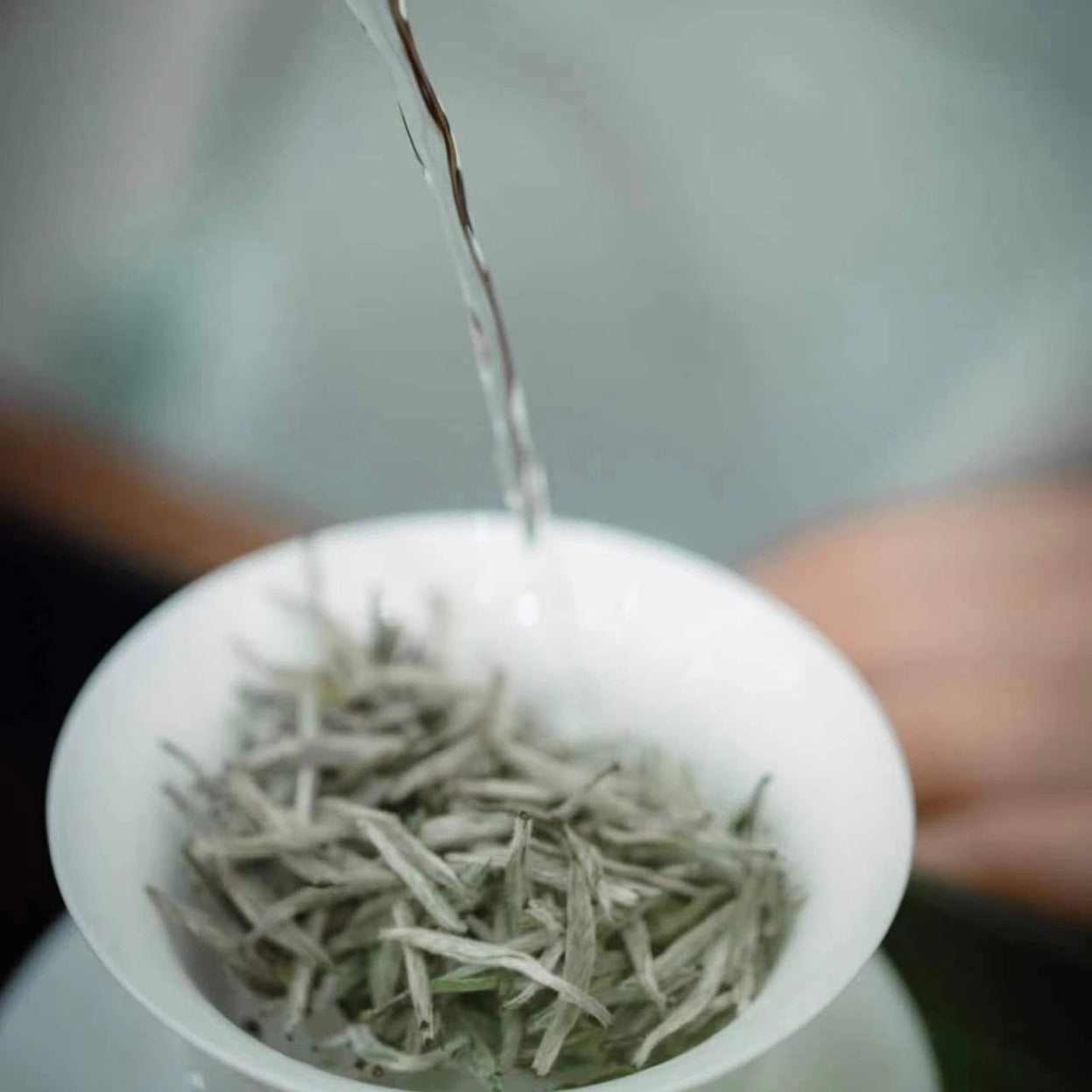 Silver Needle White Tea (50g)