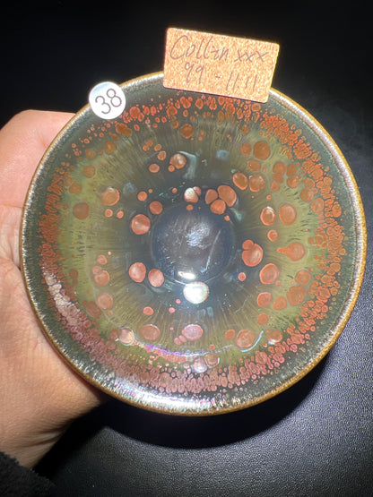 Collinxxx (February)