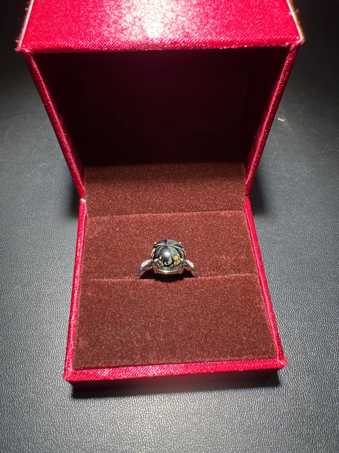 Robertxxx (New - May)