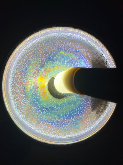 Marxxtina (November)