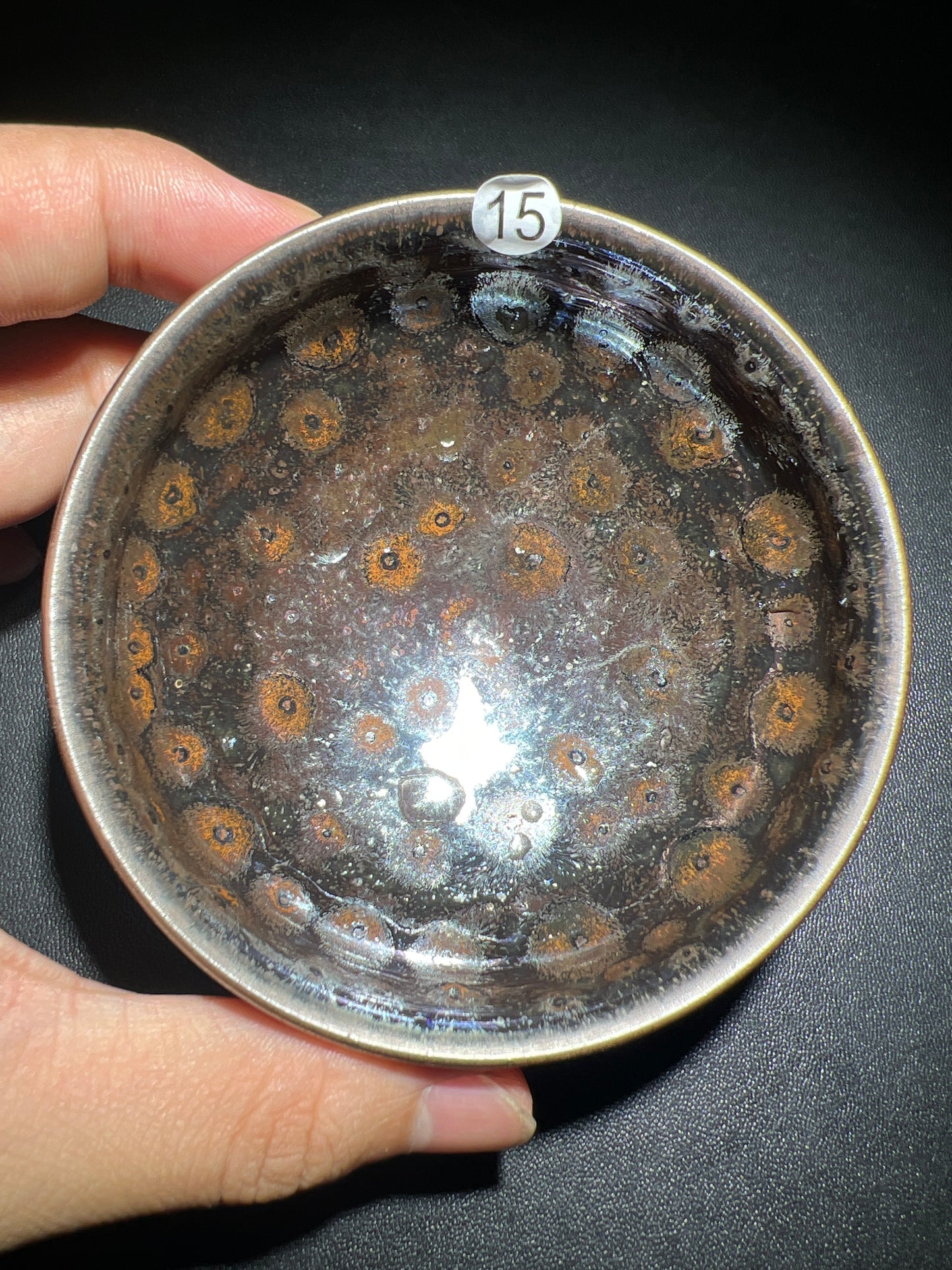 Robertxxx (New - May)