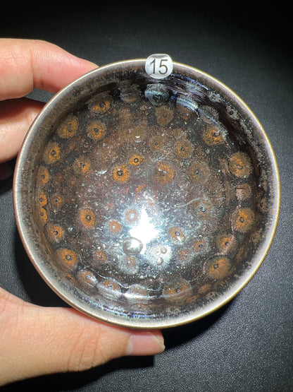 Robertxxx (New - May)