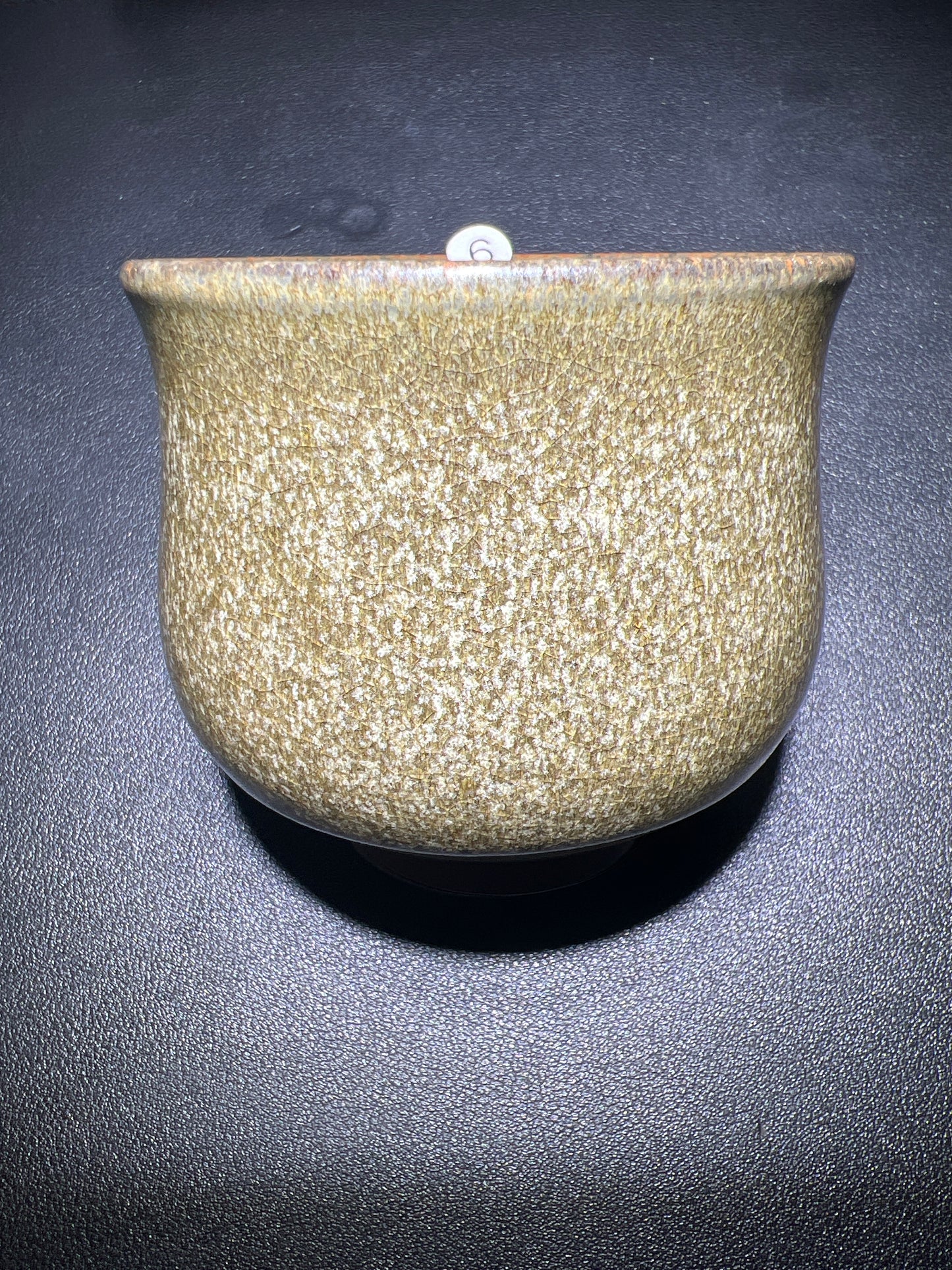 Master Zhao (November 12)