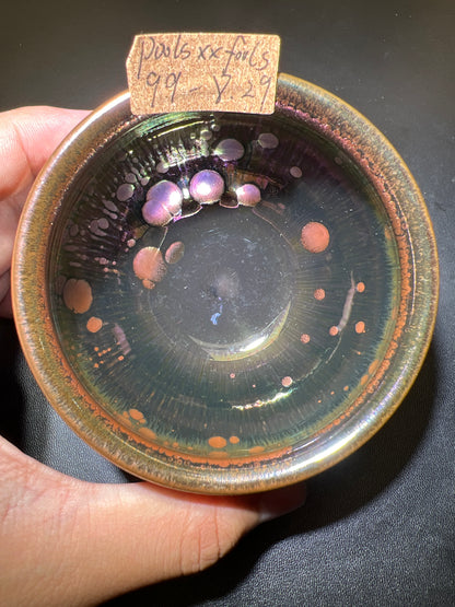 Poolsxxfools (April)