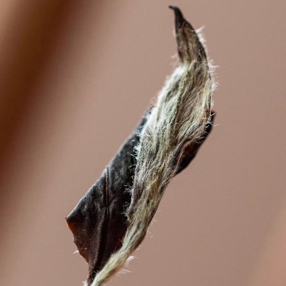 Sliver White Needle (250g)