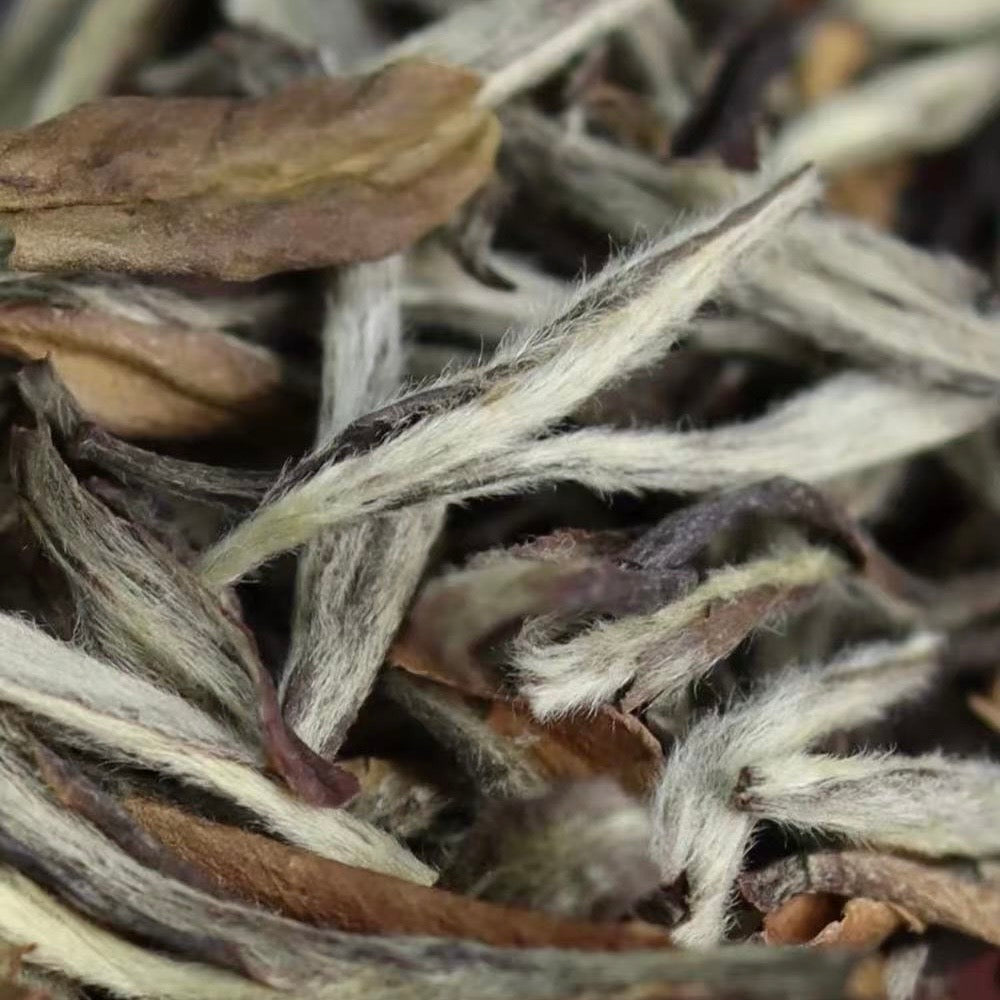 Sliver White Needle (250g)