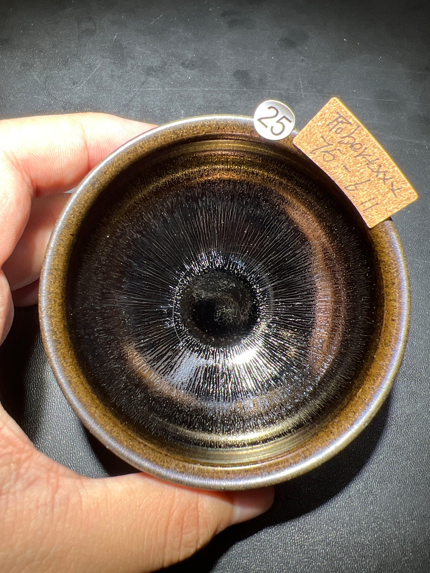 Robertxxx (New - May)