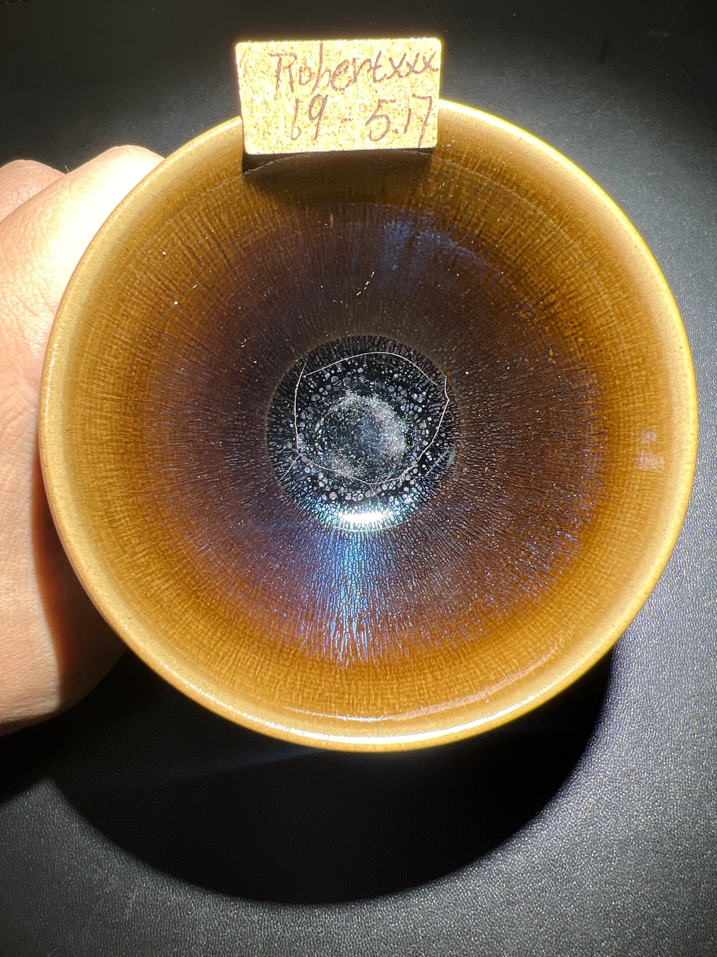 Robertxxx (New - May)