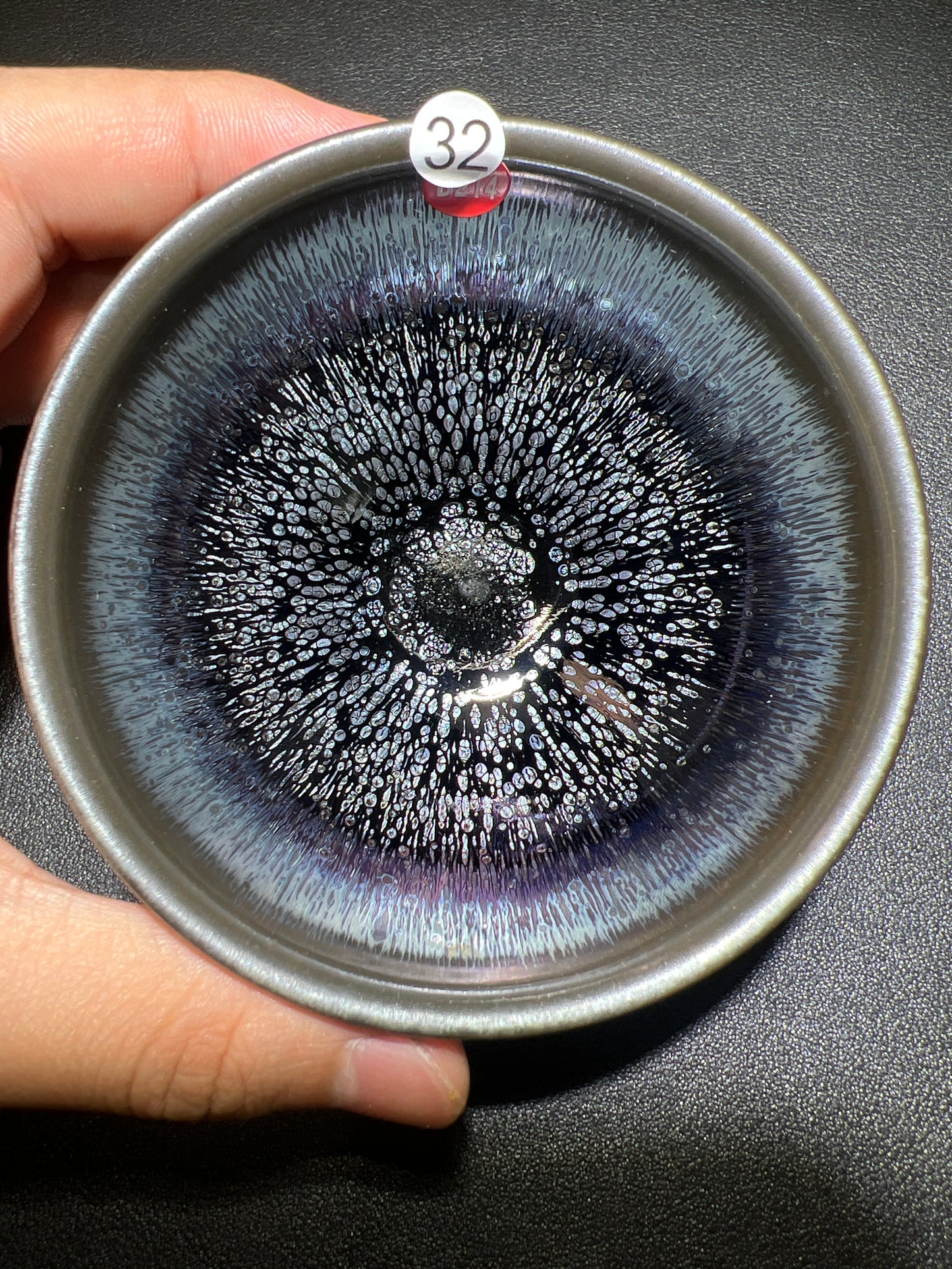 Collinxxx (February)