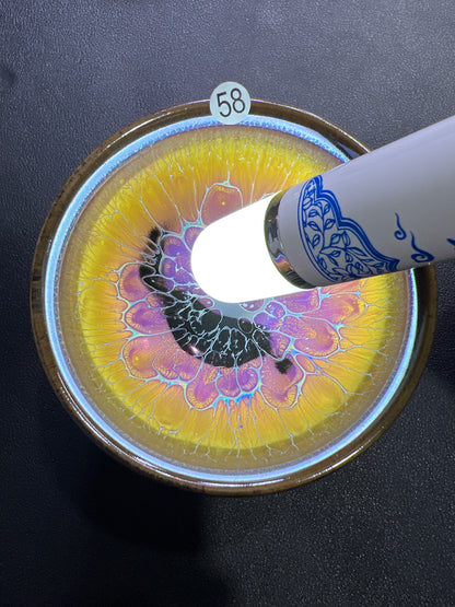 Poolsxxfools (April)