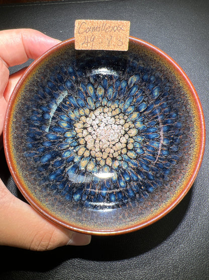 Camillexxx (February)