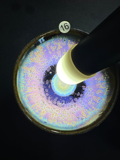 Robertxxx (New - May)