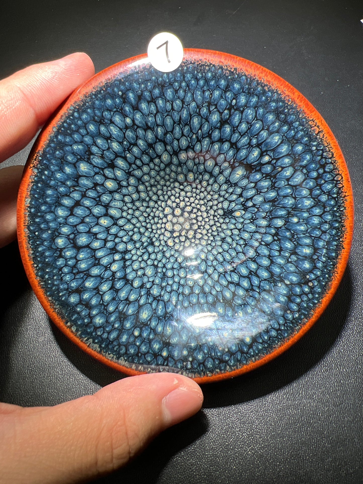 Robertxxx (New - May)