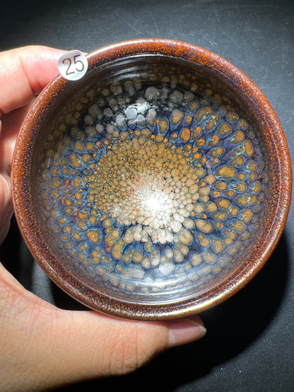 Robertxxx (New - May)