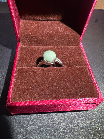 Camillexxx (February)