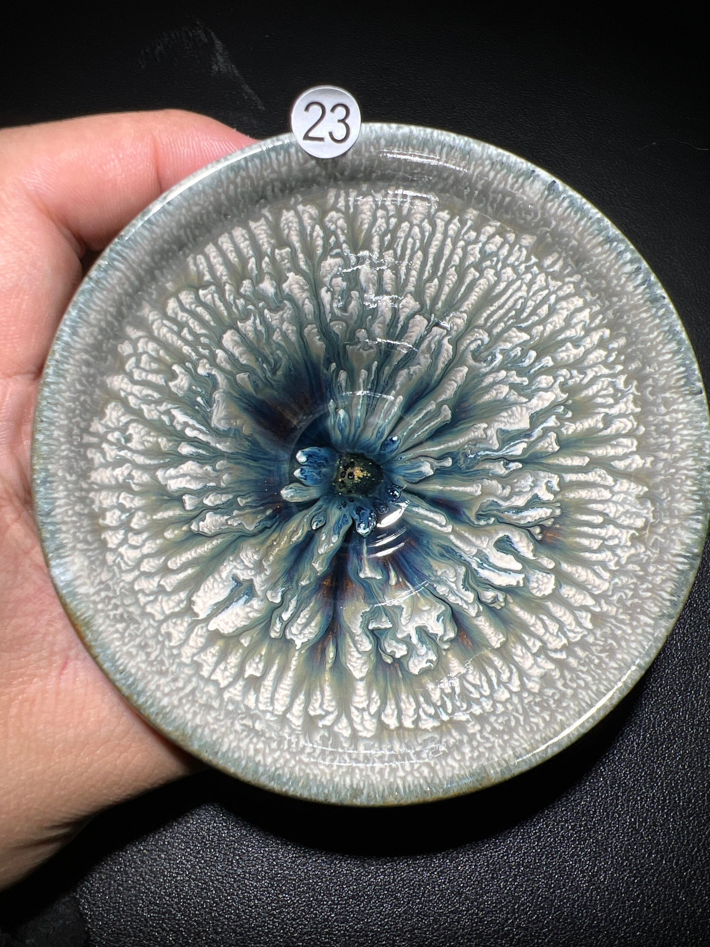 Master Pan (November 9)