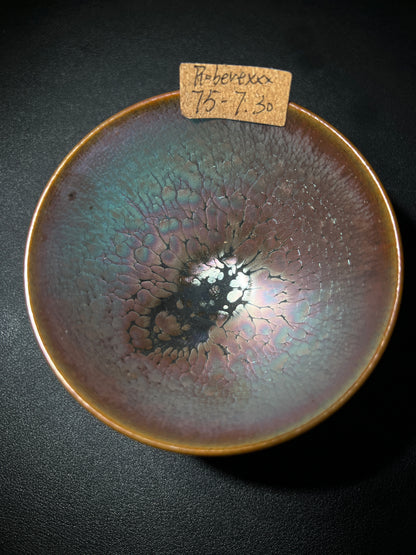 Robertxxx (New - May)