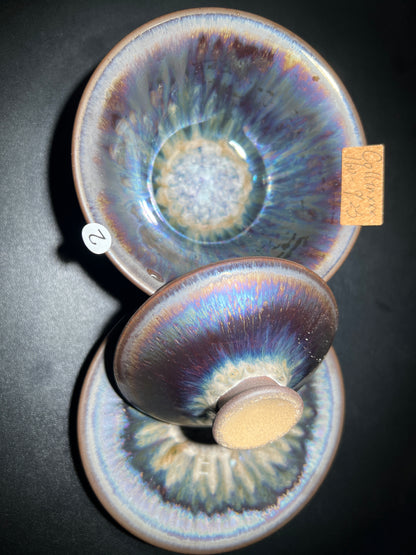 Collinxxx (February)