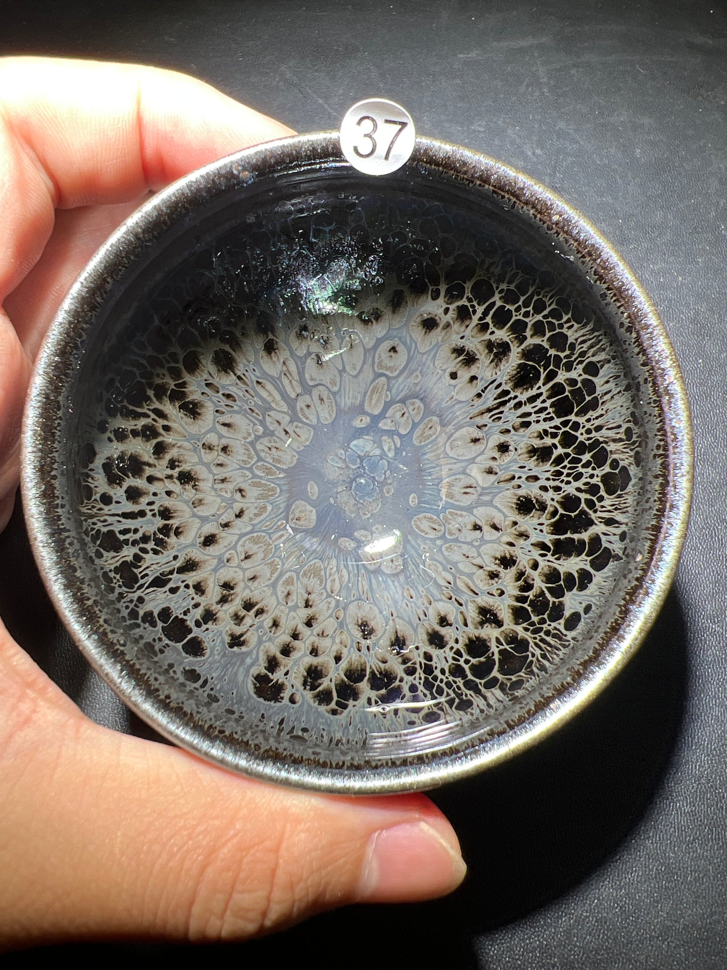 Robertxxx (New - May)