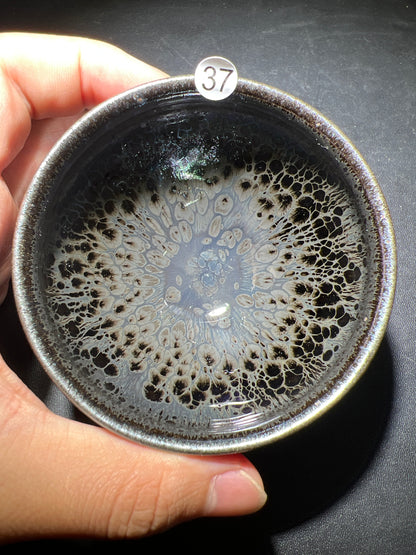 Robertxxx (New - May)