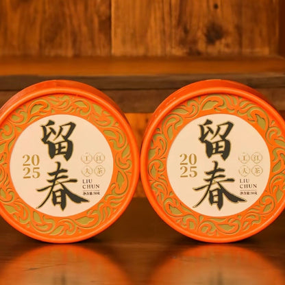 Liu Chun Red Tea Special Spring Pick