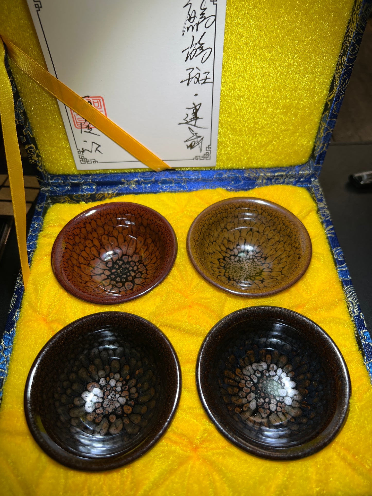 Camillexxx (February)