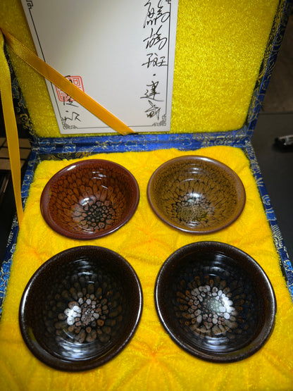 Camillexxx (February)