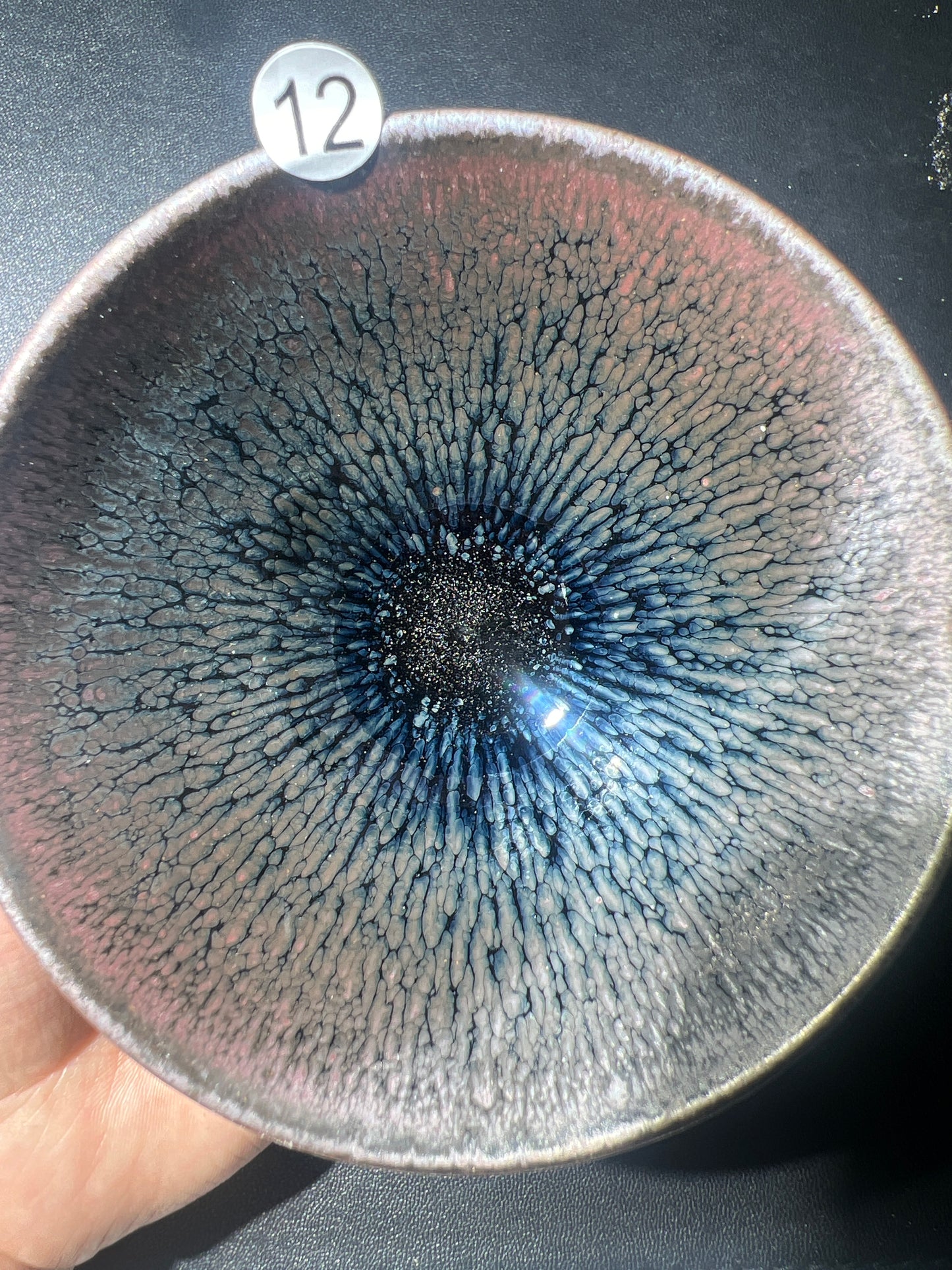 Robertxxx (New - May)