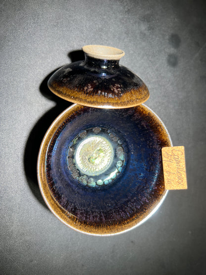 Camillexxx (February)