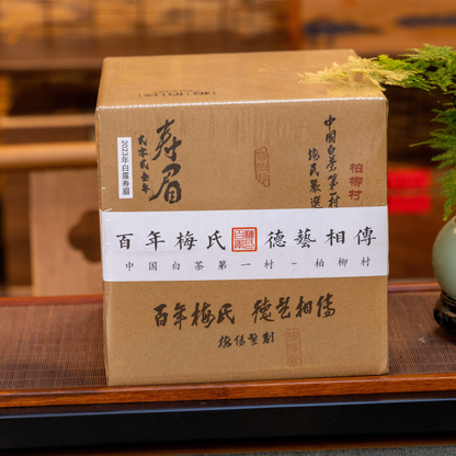 2023 White Dew Harvest Aged Shoumei White Tea — 500g