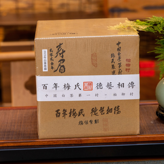 2023 White Dew Harvest Aged Shoumei White Tea — 500g