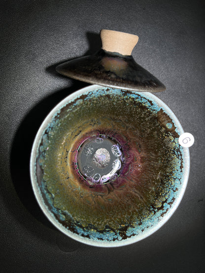 Robertxxx (New - May)