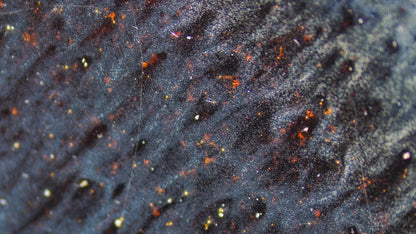 Mysterious Galaxy (9.2cm)