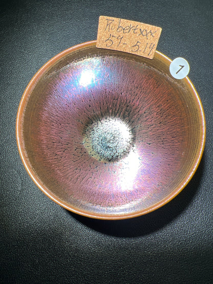 Robertxxx (New - May)