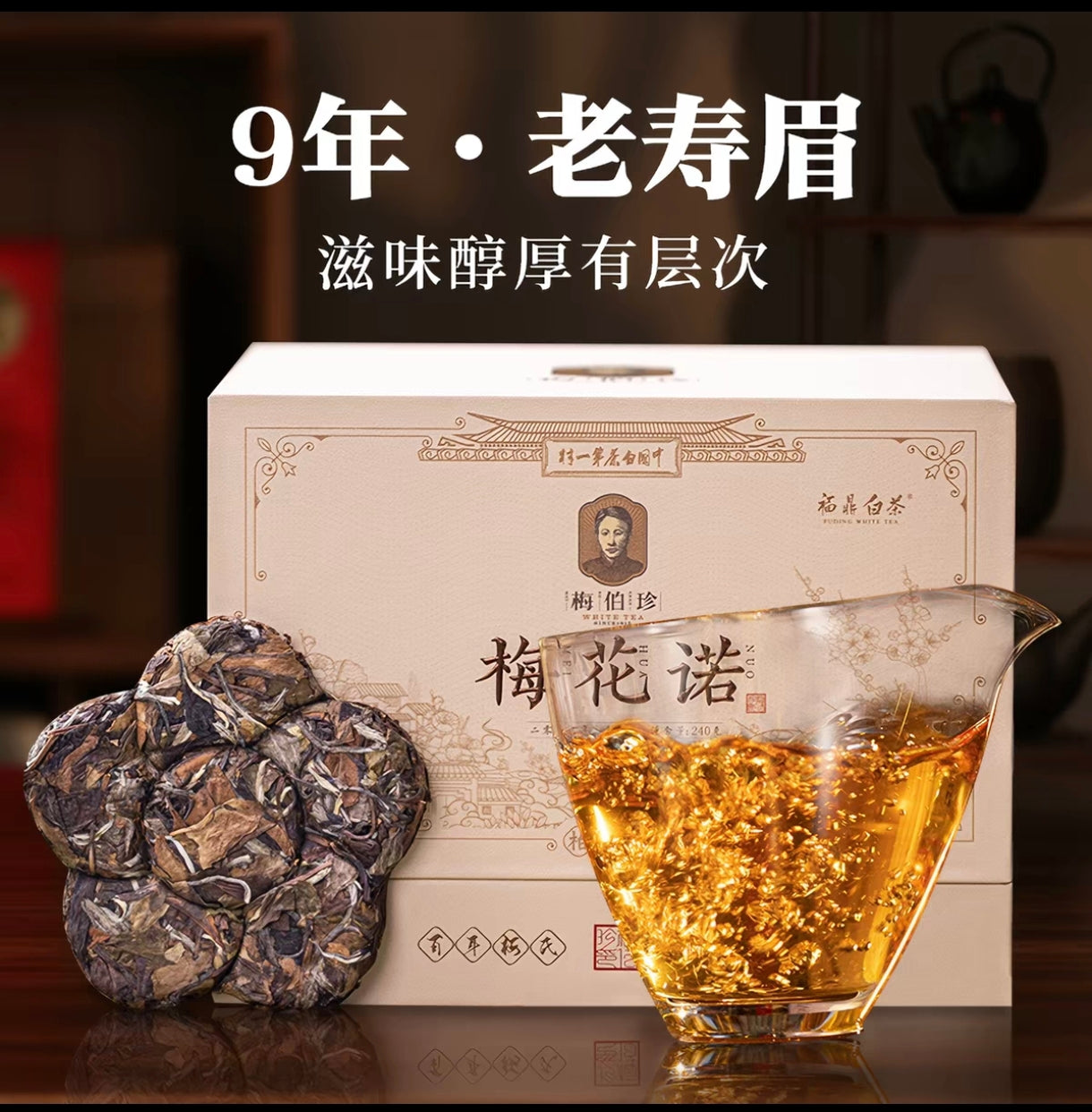 Mei Bozhen 2016 Plum Blossom Aged Shoumei White Tea — 240g