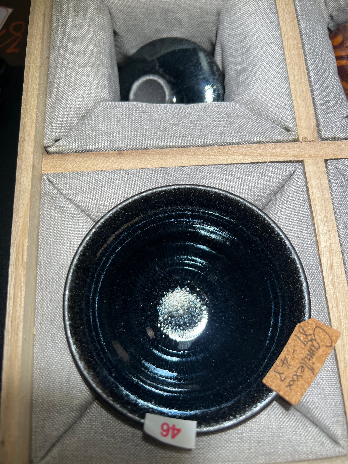 Camillexxx (February)