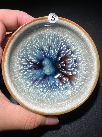 Robertxxx (New - May)