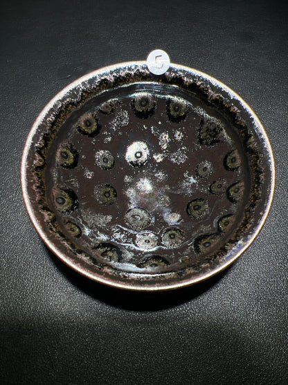 Master Zhao (November 12)