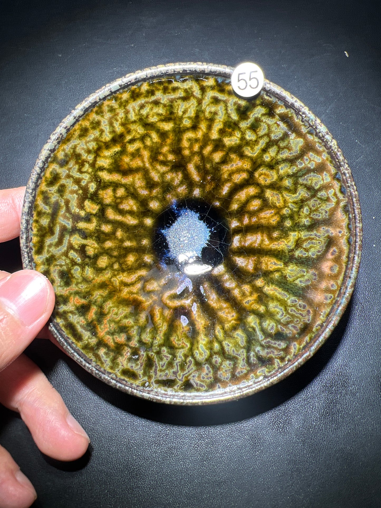 Robertxxx (New - May)